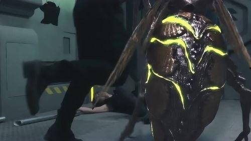 国产大狂蜂视频,狂野飞行，挑战极限的空中传奇