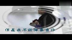 国产采精蝴蝶视频在线,探寻自然之美与生态平衡的和谐画卷