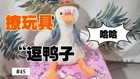 国产吧鸭子视频,探寻民间美食的独特魅力