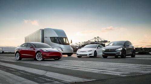 胖子国产特斯拉试驾视频,体验速度与激情的完美融合