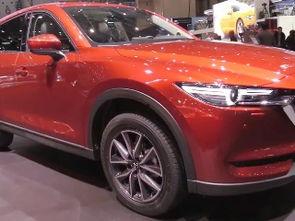 国产越野车的视频,勇闯极限，彰显民族力量