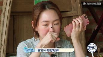 国产综艺大神是谁呀视频,探寻幕后制作高手